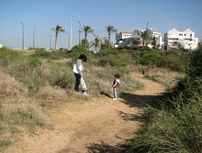picture